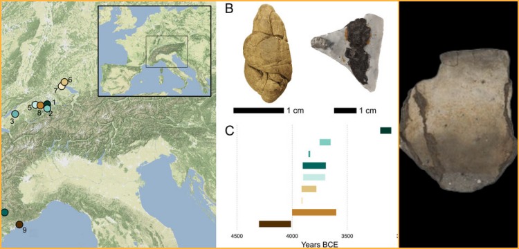 Neolitik Çağda sakız gibi çiğnenen katranın aydınlattığı teknoloji ve kültürel bilgiler