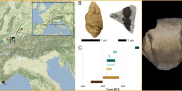 Neolitik Çağda sakız gibi çiğnenen katranın aydınlattığı teknoloji ve kültürel bilgiler