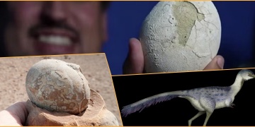 Patagonyada bulunan 70 milyon yıllık dinozor yumurtasında embrio aranacak