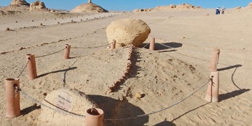 Mısırın Balina Vadisi: Fosillerin İzinde 37,5 Milyon Yıllık Evrimsel Yolculuk