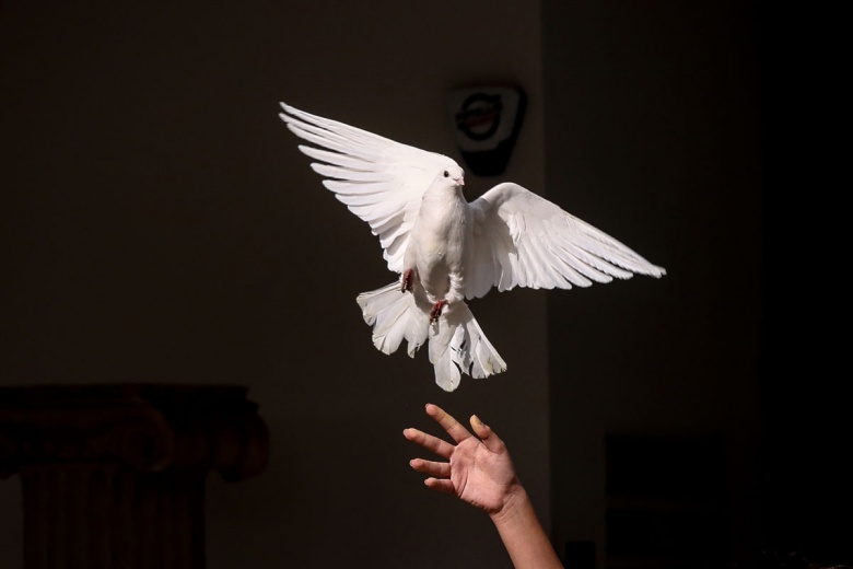 Milano Cortina 2026 Kış Olimpiyat Oyunları’nın Meşale Yakma Töreni