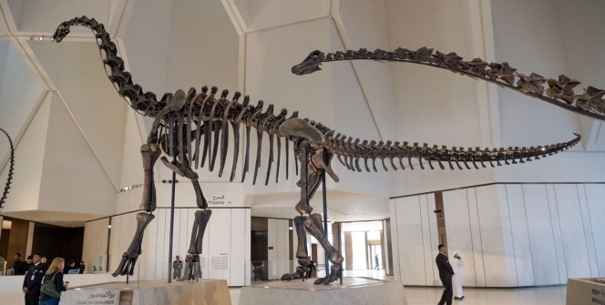Abu Dabi Doğal Tarih Müzesi