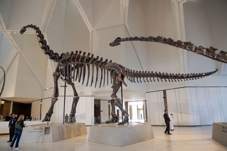 Abu Dabi Doğal Tarih Müzesi