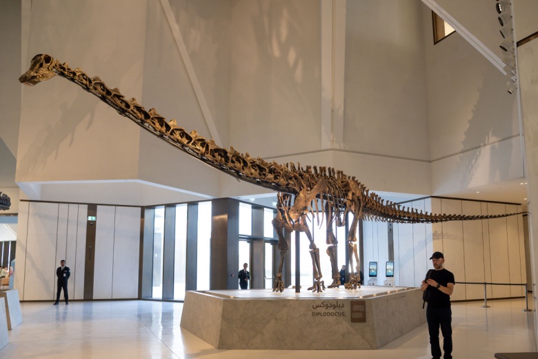 Abu Dabi Doğal Tarih Müzesi