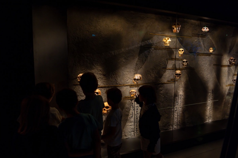 Abu Dabi Doğal Tarih Müzesi