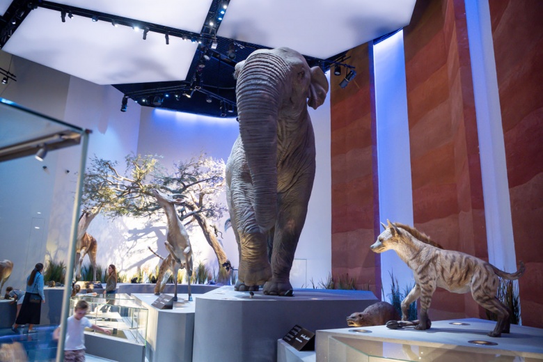 Abu Dabi Doğal Tarih Müzesi