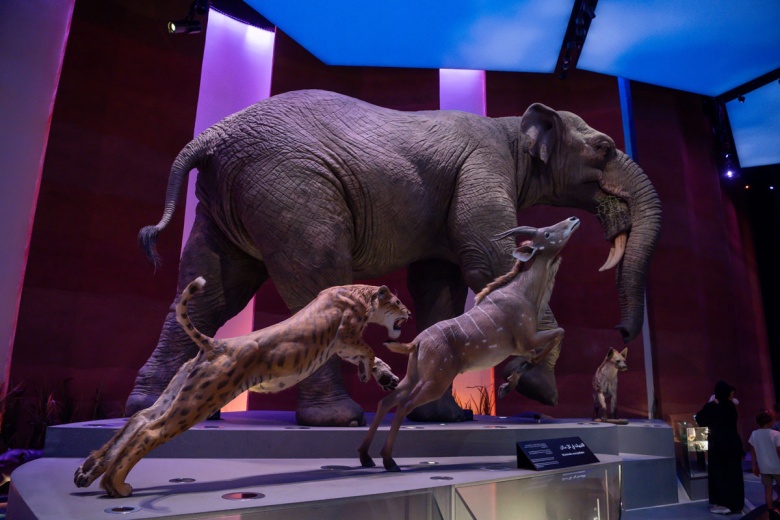 Abu Dabi Doğal Tarih Müzesi