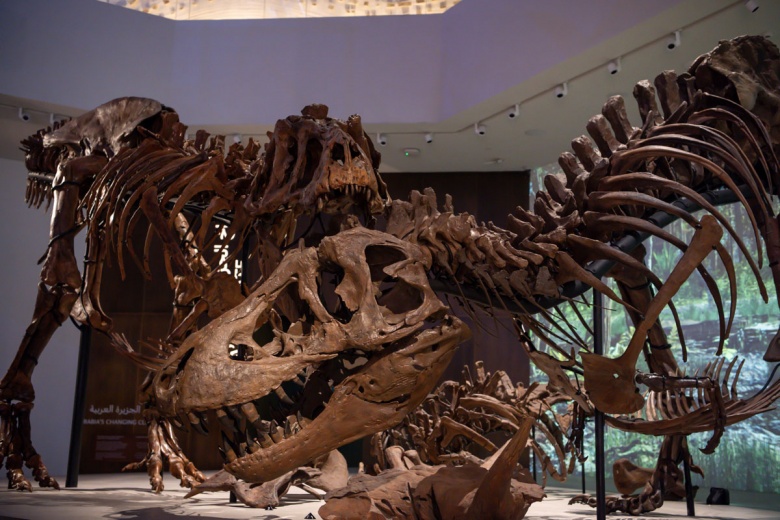 Abu Dabi Doğal Tarih Müzesi