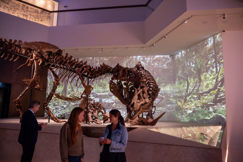 Abu Dabi Doğal Tarih Müzesi