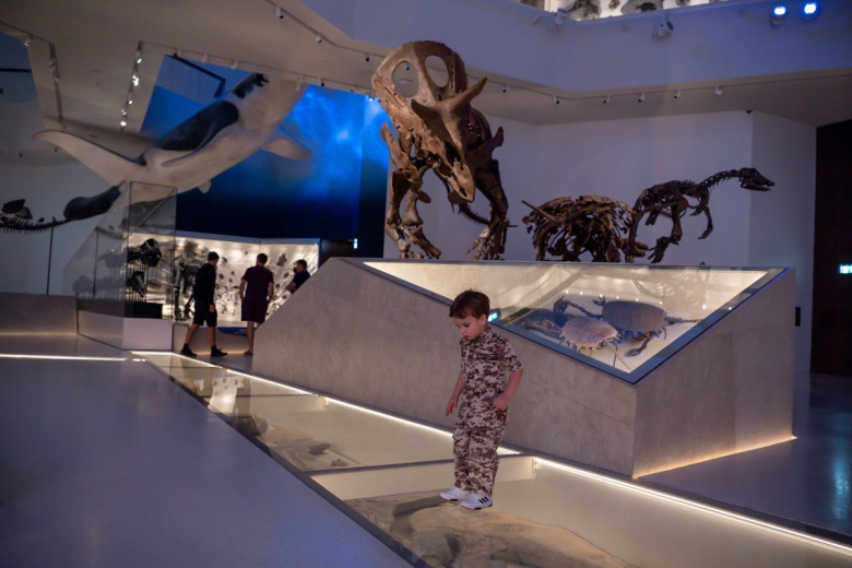 Abu Dabi Doğal Tarih Müzesi