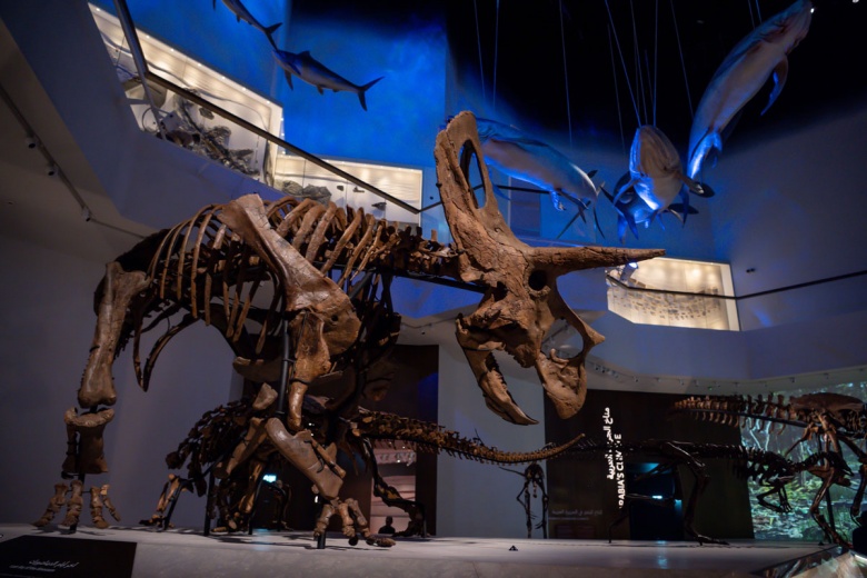 Abu Dabi Doğal Tarih Müzesi