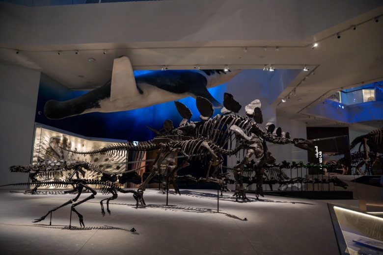 Abu Dabi Doğal Tarih Müzesi