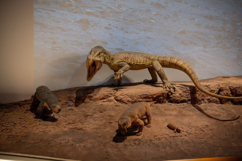 Abu Dabi Doğal Tarih Müzesi