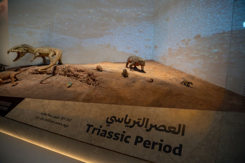 Abu Dabi Doğal Tarih Müzesi