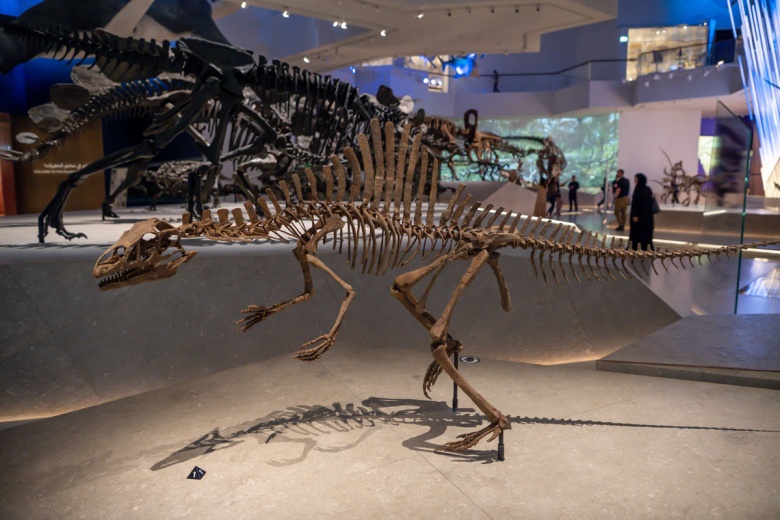 Abu Dabi Doğal Tarih Müzesi