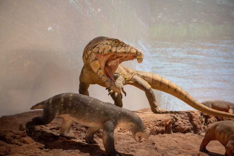 Abu Dabi Doğal Tarih Müzesi