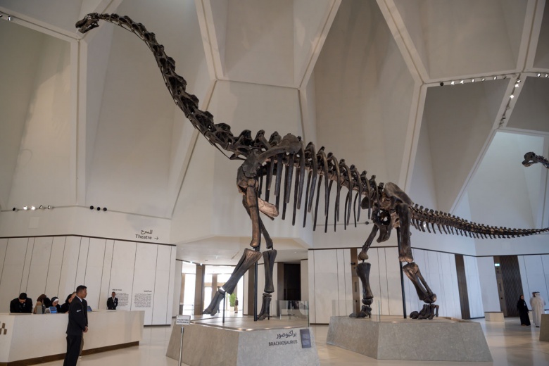 Abu Dabi Doğal Tarih Müzesi