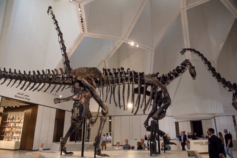 Abu Dabi Doğal Tarih Müzesi
