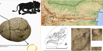 Bakır çağı insanları aslan saldırısına uğrayan bir insansı tedavi etmeyi başarmış
