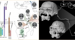 Bir Milyon 600 Yıllık Homo Erectus yüzü ve Afrikadaki insansı türlerin çeşitliliği