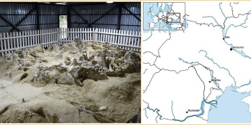 Sıra dışı Buzul Çağı Mimarisi: İnsanlar konut sorununu mamut kemikleri ile çözmüş!