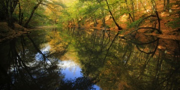İstanbulda Korunan Alanlara Rekor İlgi: 2025te Yaklaşık 4 Milyon Ziyaretçi