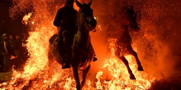 İspanyada Las Luminarias festivalinde atlar 300 yıldır ateş üzerinden atlıyor