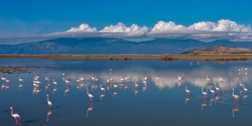 Büyük Menderes Deltası: Türkiyenin Sulak Alan Hazinesi