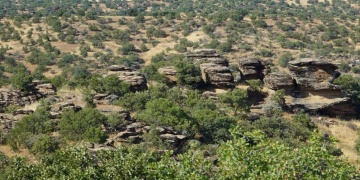 Uşak Eşme Kaya Petroglifleri 1. Derece Arkeolojik Sit Olarak Tescillendi