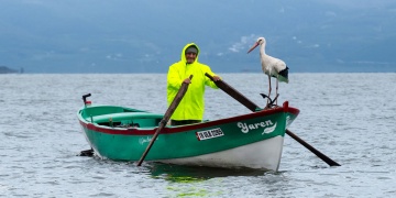 Bursa Uluabat Gölünde Dostluk Hikâyesi Devam Ediyor: Yaren Leyleğin 15. Dönüşü