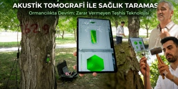 İstanbulun Tarihi Ağaçları Dijital Pasaportla Korunacak: Risklere Karşı MRlı Önlem