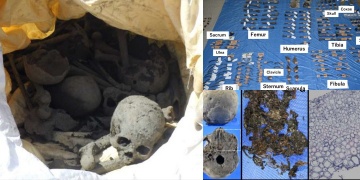 Bir torba kemik adli tıpçıları şaşkına çevirdi, kemiklerin sırrını arkeologlar çözdü