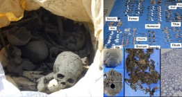 Bir torba kemik adli tıpçıları şaşkına çevirdi, kemiklerin sırrını arkeologlar çözdü