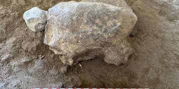 Bilecikte Epipaleolitik Döneme Ait 25 Kaplumbağa Heykelciği Bulundu