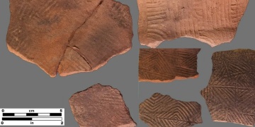 Mississippinin Doğusunda En Eski Çikolata İzleri Bir Çömlekte Ortaya Çıktı
