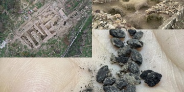 Daskyleion Antik Kentinde arkeologlar 2600 yıllık kömürleşmiş tohumlar buldu