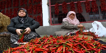 Çukurören Biberi Festivali, Bilecikin üretim kültürünü yaşatıyor
