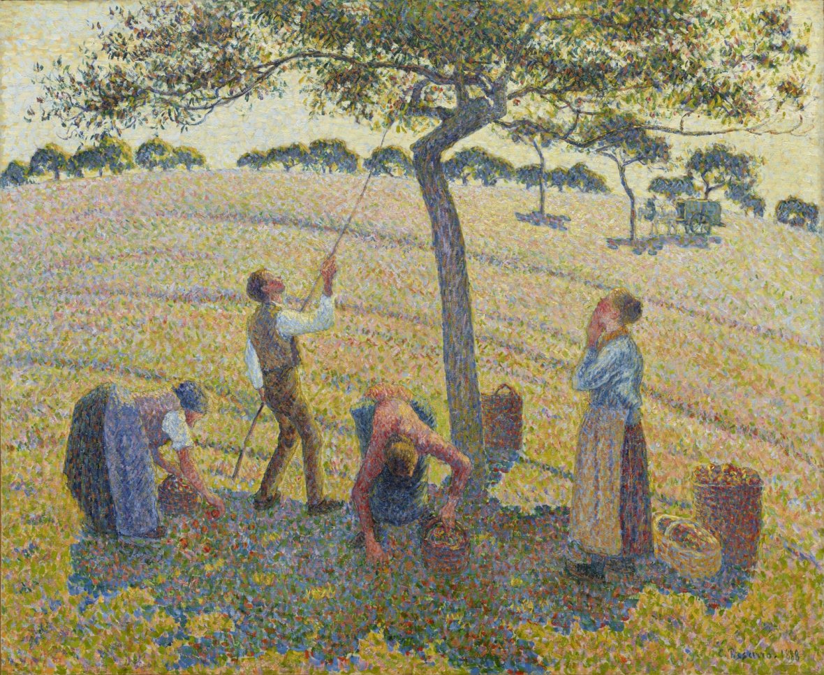 Camille Pissarro'nun Elma Hasadı tablosu